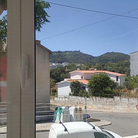 Casa Dos Golfinhos Daire Sesimbra Dış mekan fotoğraf